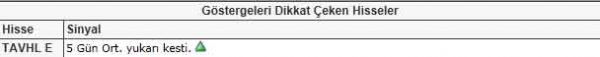 Dikkat çeken hisseler