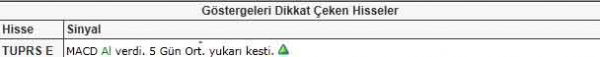 Dikkat çeken hisseler