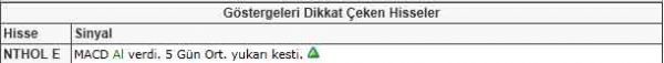 Dikkat çeken hisseler