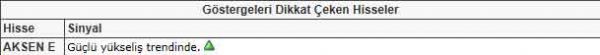 Dikkat çeken hisseler