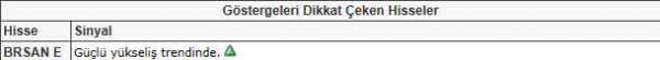 Dikkat çeken hisseler