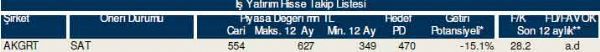 84 hisselik dev hisse