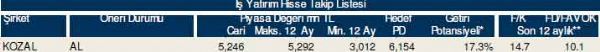 84 hisselik dev hisse