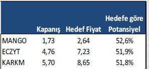 Getiri potansiyeli yüksek hisseler