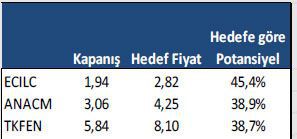 Getiri potansiyeli yüksek hisseler