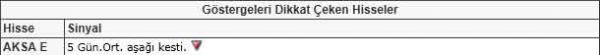 Dikkat çeken hisseler
