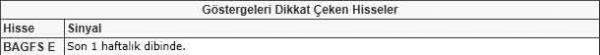 Dikkat çeken hisseler