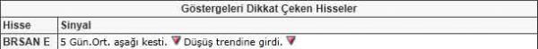 Dikkat çeken hisseler