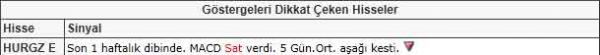 Dikkat çeken hisseler