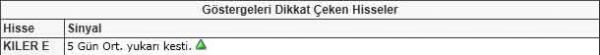 Dikkat çeken hisseler