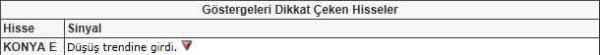 Dikkat çeken hisseler