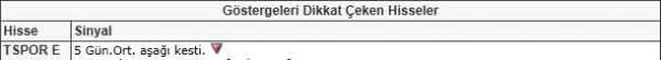 Dikkat çeken hisseler