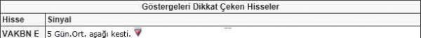 Dikkat çeken hisseler