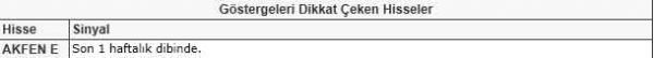 Dikkat çeken hisseler