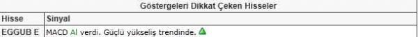 Dikkat çeken hisseler