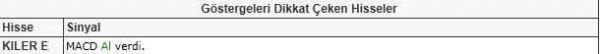 Dikkat çeken hisseler