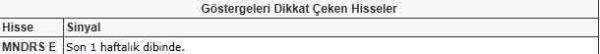 Dikkat çeken hisseler