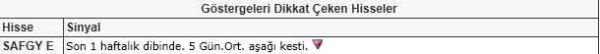 Dikkat çeken hisseler