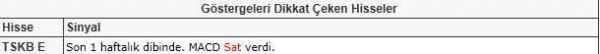 Dikkat çeken hisseler