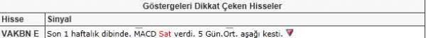 Dikkat çeken hisseler