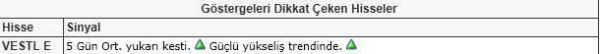Dikkat çeken hisseler