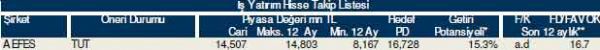 82 hisselik dev analiz
