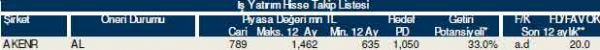 82 hisselik dev analiz