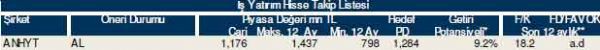 82 hisselik dev analiz