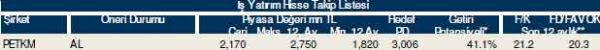 82 hisselik dev analiz