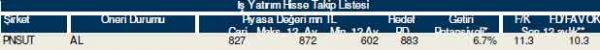 82 hisselik dev analiz