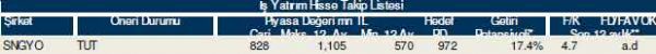 82 hisselik dev analiz