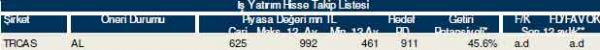82 hisselik dev analiz