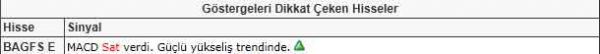 Dikkat çeken hisseler
