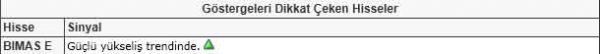 Dikkat çeken hisseler
