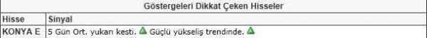 Dikkat çeken hisseler