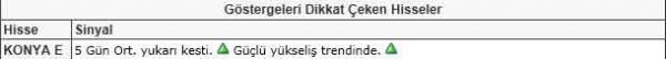 Dikkat çeken hisseler