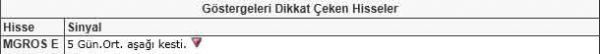 Dikkat çeken hisseler