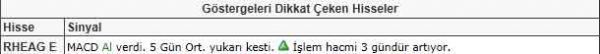Dikkat çeken hisseler