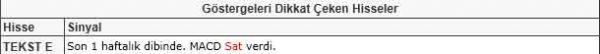 Dikkat çeken hisseler