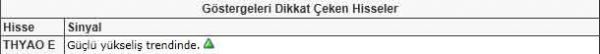 Dikkat çeken hisseler