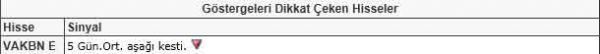Dikkat çeken hisseler