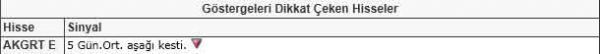 Dikkat çeken hisseler