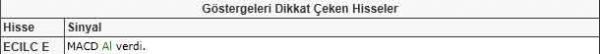 Dikkat çeken hisseler
