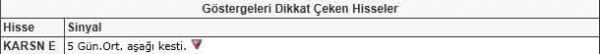 Dikkat çeken hisseler