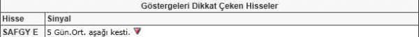 Dikkat çeken hisseler