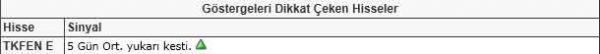 Dikkat çeken hisseler