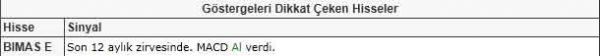 Dikkat çeken hisseler
