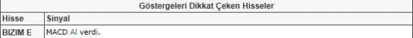 Dikkat çeken hisseler