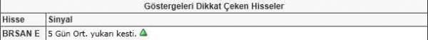 Dikkat çeken hisseler