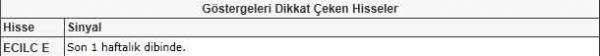 Dikkat çeken hisseler
